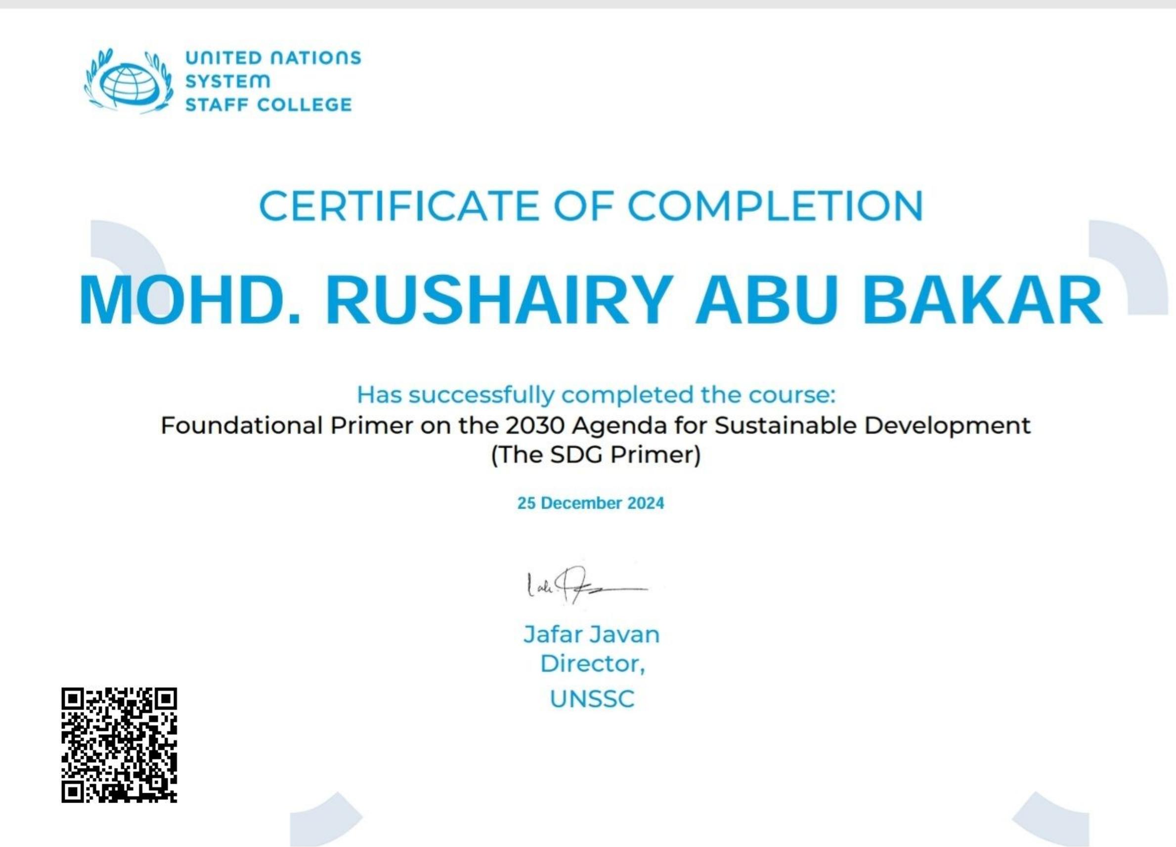 UN SDG Primer